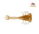 larvaz zman bloodworm
