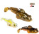 gobius zman gamme
