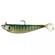 Mega shad FLASHMER
