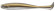 pit swimmer corps khaki