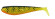 Zander Pro Shad FOX RAGE