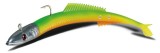 Fire eel DELALANDE