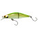 rafalea jt 56s trefle creation PCT PEARL CHART
