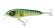 ABU GARCIA Svartzonker McCelly