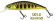 Zero Arise Minnow coloris amago ADAM'S