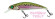 Zero Arise Minnow coloris rainbow trout ADAM'S