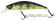 zero arise minnow coloris truitelle ADAM'S