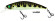 zero arise minnow coloris vairon