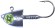 TP Breizh AstuFish